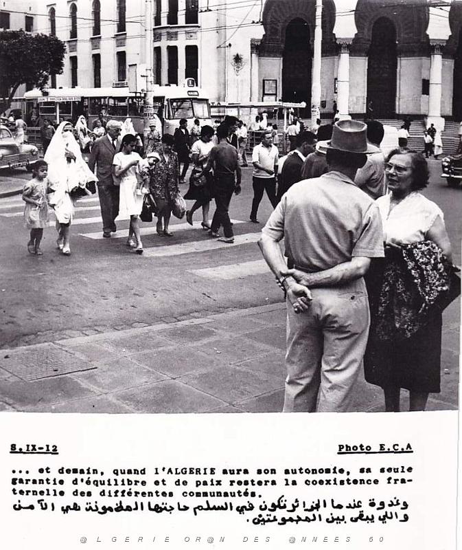 Algerie propagande 014.jpg